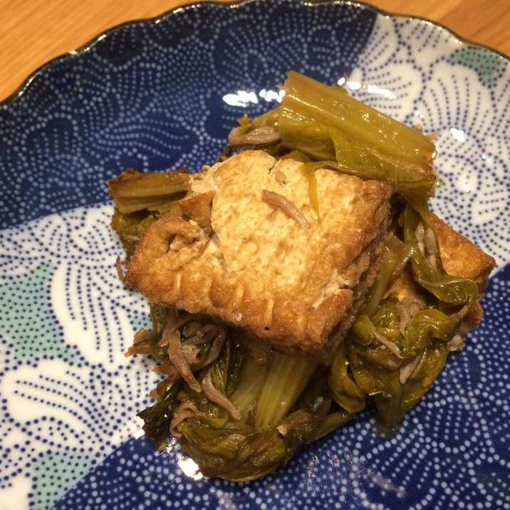 簡単☆高菜と厚揚げとジャコの煮物